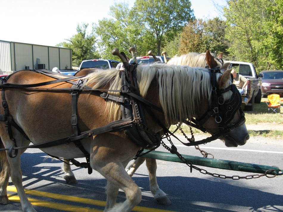 1881 Octoberfest 2008 GAT